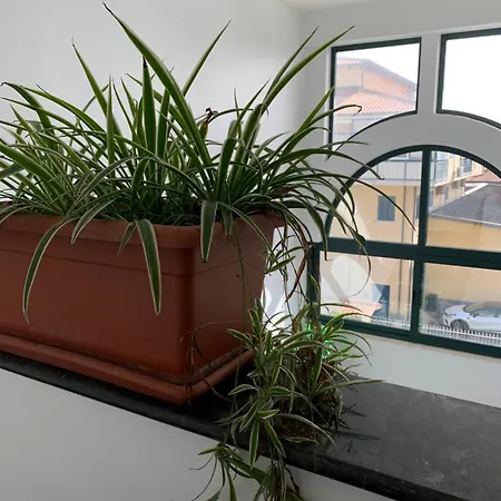 Don Michele * Gizzeria