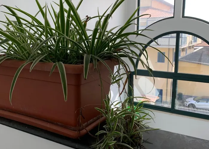 Don Michele * Gizzeria